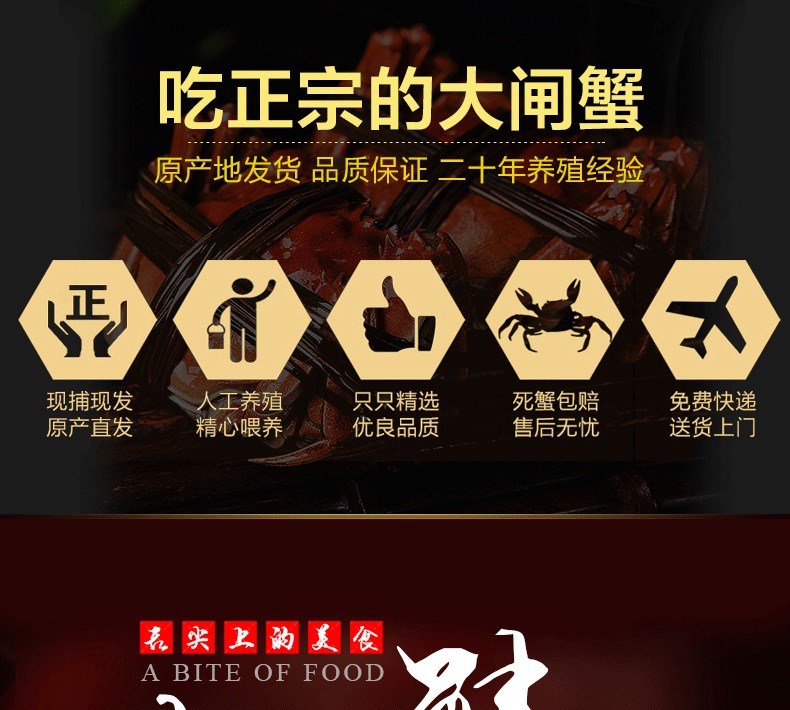 肥王大闸蟹 阳澄湖大闸蟹公蟹6.0两 母蟹4.0两 4对8只装包邮(图4)